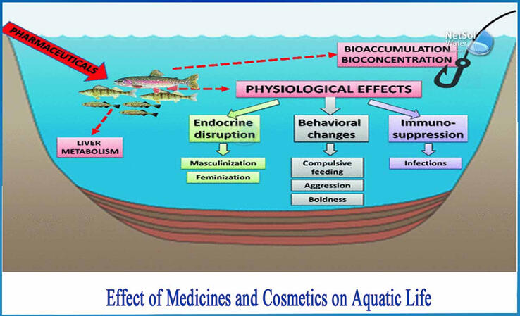 effect on fish :(