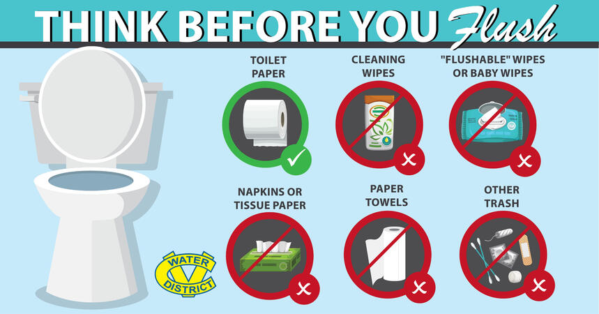 don't flush these down the drain!
